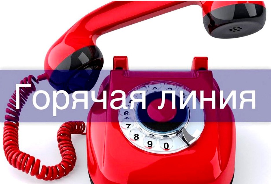Линия 234.jpg